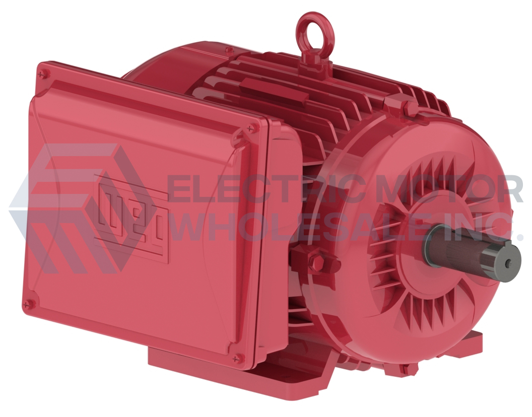 TEFC CAST IRON FOOTED.jpg